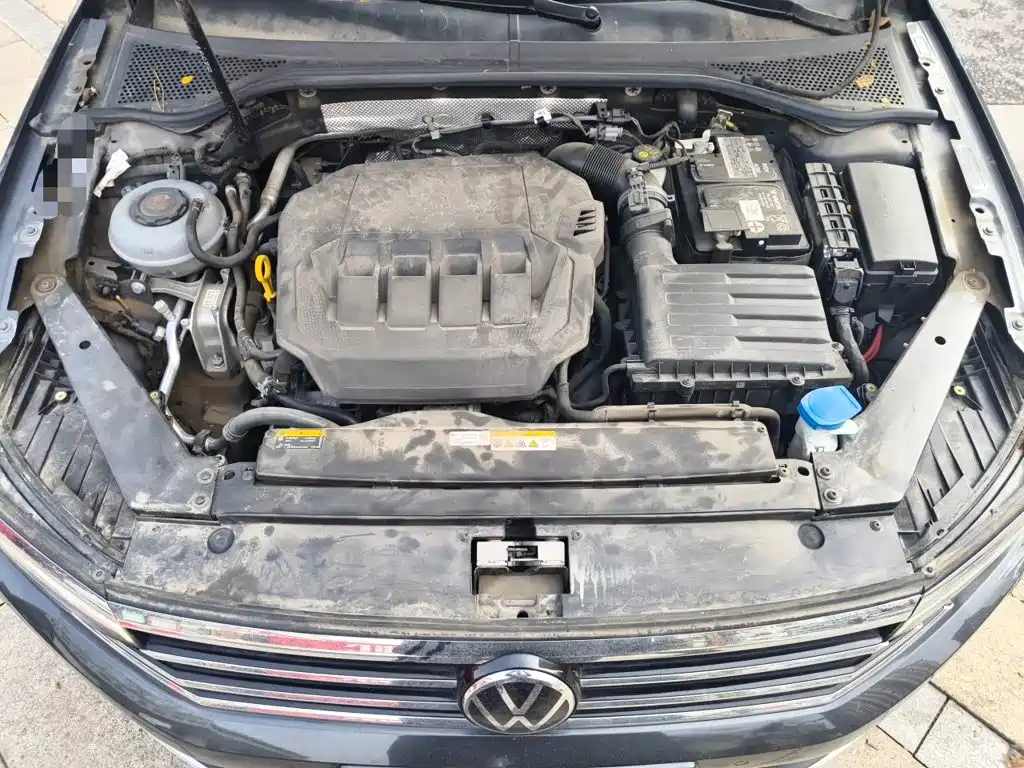 Volkswagen Weilan 2023 2021 2.0T Smooth Ride Edition