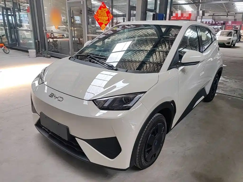 BYD Seagull 2026 2025 Smart Drive Edition 305km Vitality Version