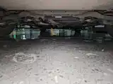 Фото 23 - Ford Focus