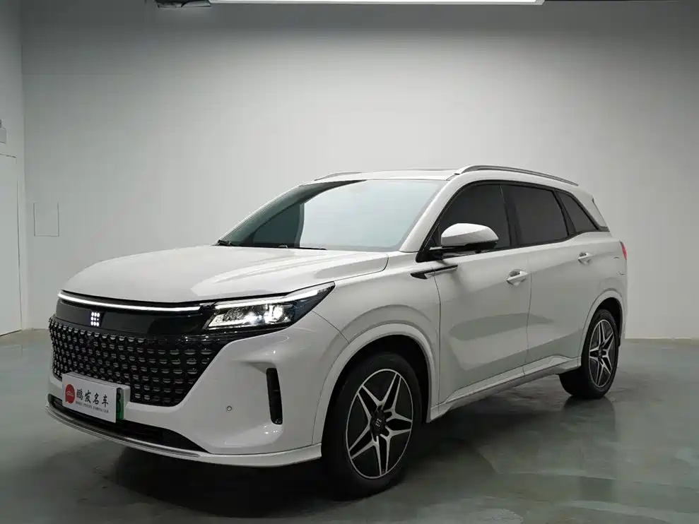 Landian E5 2024 2024 Glory Edition 100KM Ultimate Type 7-Seater