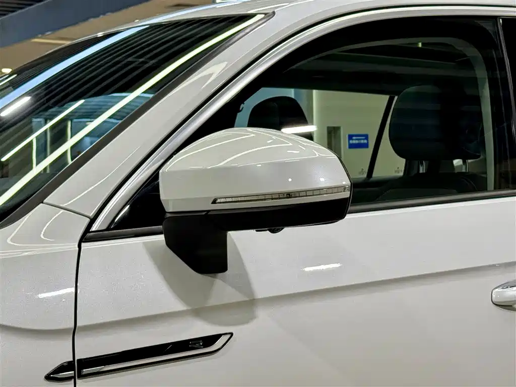 VOLKSWAGEN TANYUE