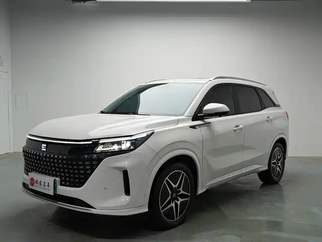  Landian Landian E5 2024 Glory Edition 100KM Ultimate Type 7-Seater