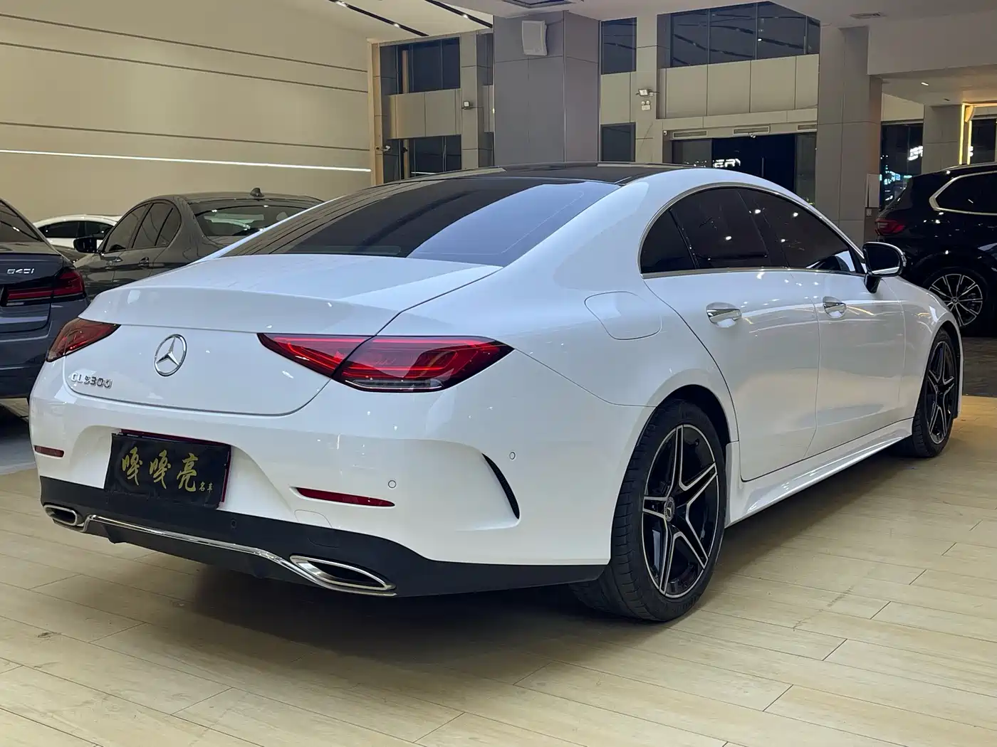 Mercedes-Benz CLS 2023 Model CLS 300 Luxury Version фото 11