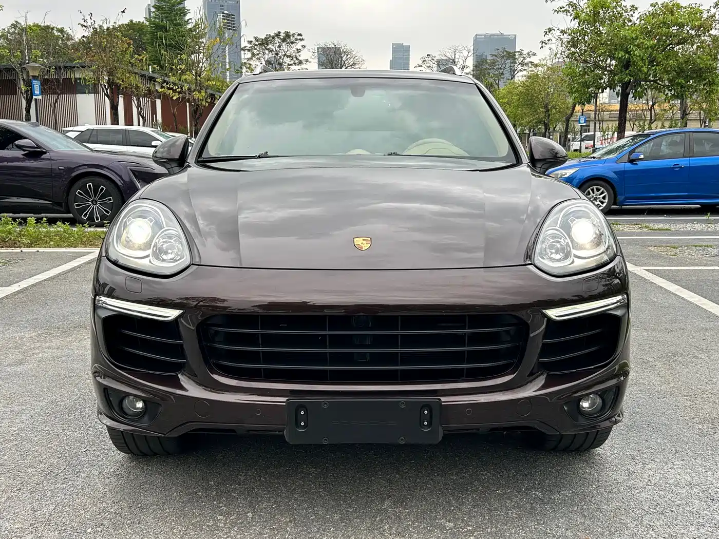 Porsche Cayenne 2016 Cayenne Platinum Edition 3.0T фото 2