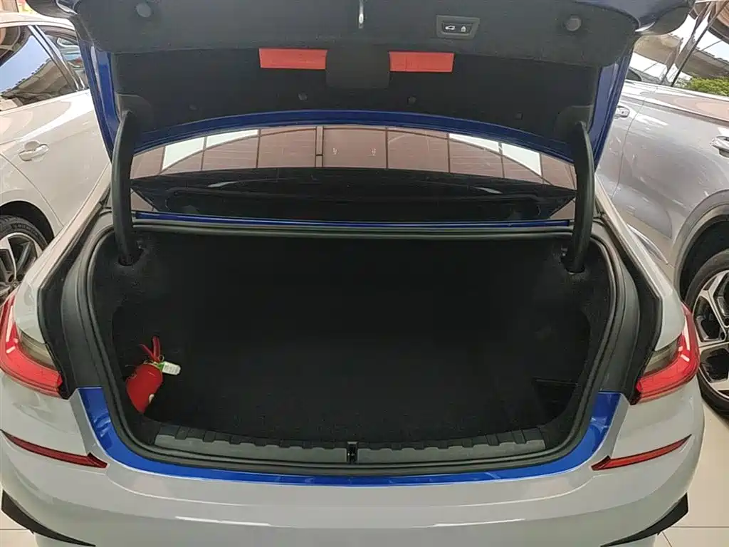 BMW 3 Series 2021 320Li M Sport Package фото 19