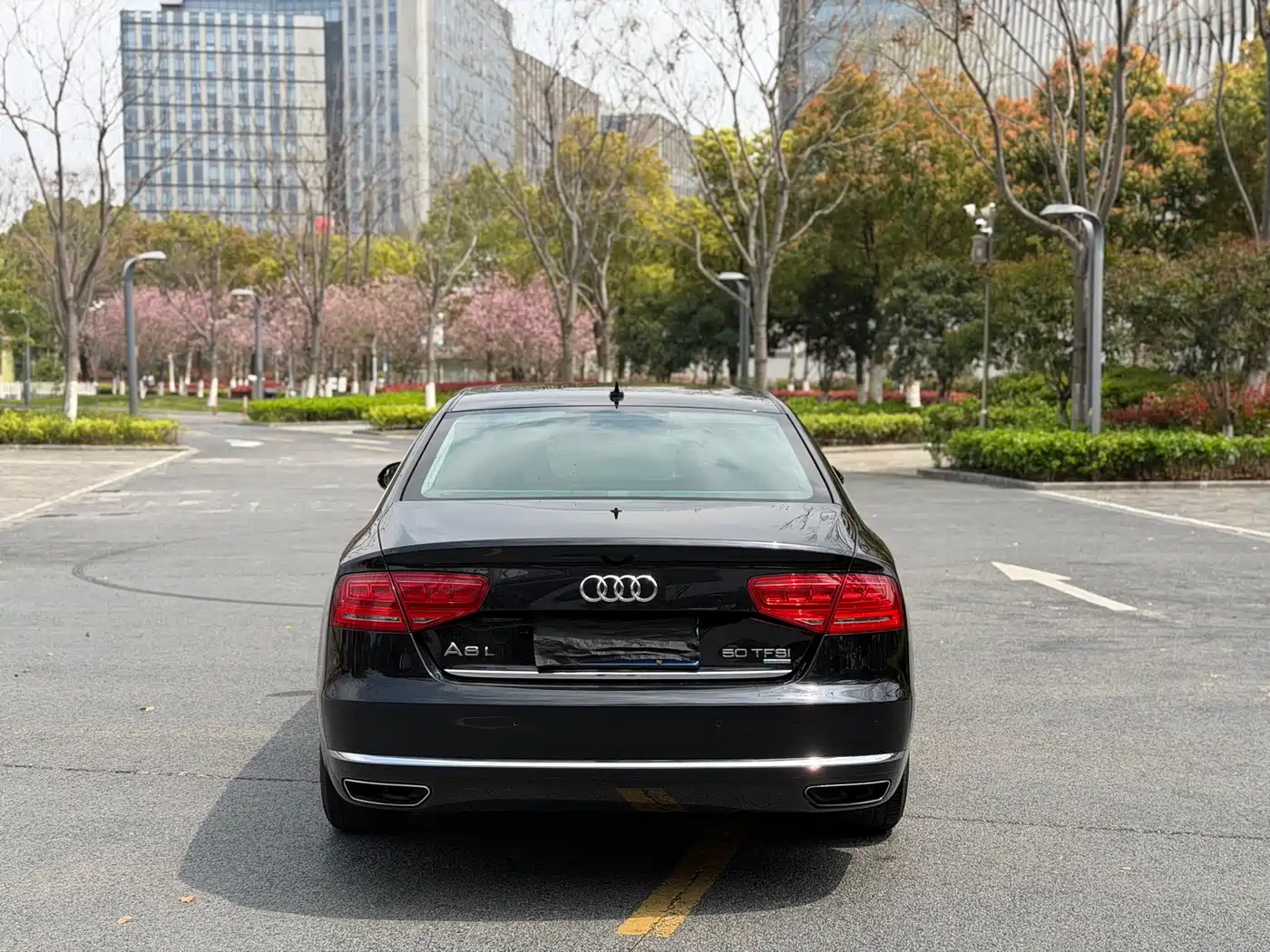 Audi A8 2013 A8L 50 TFSI quattro Luxury фото 15