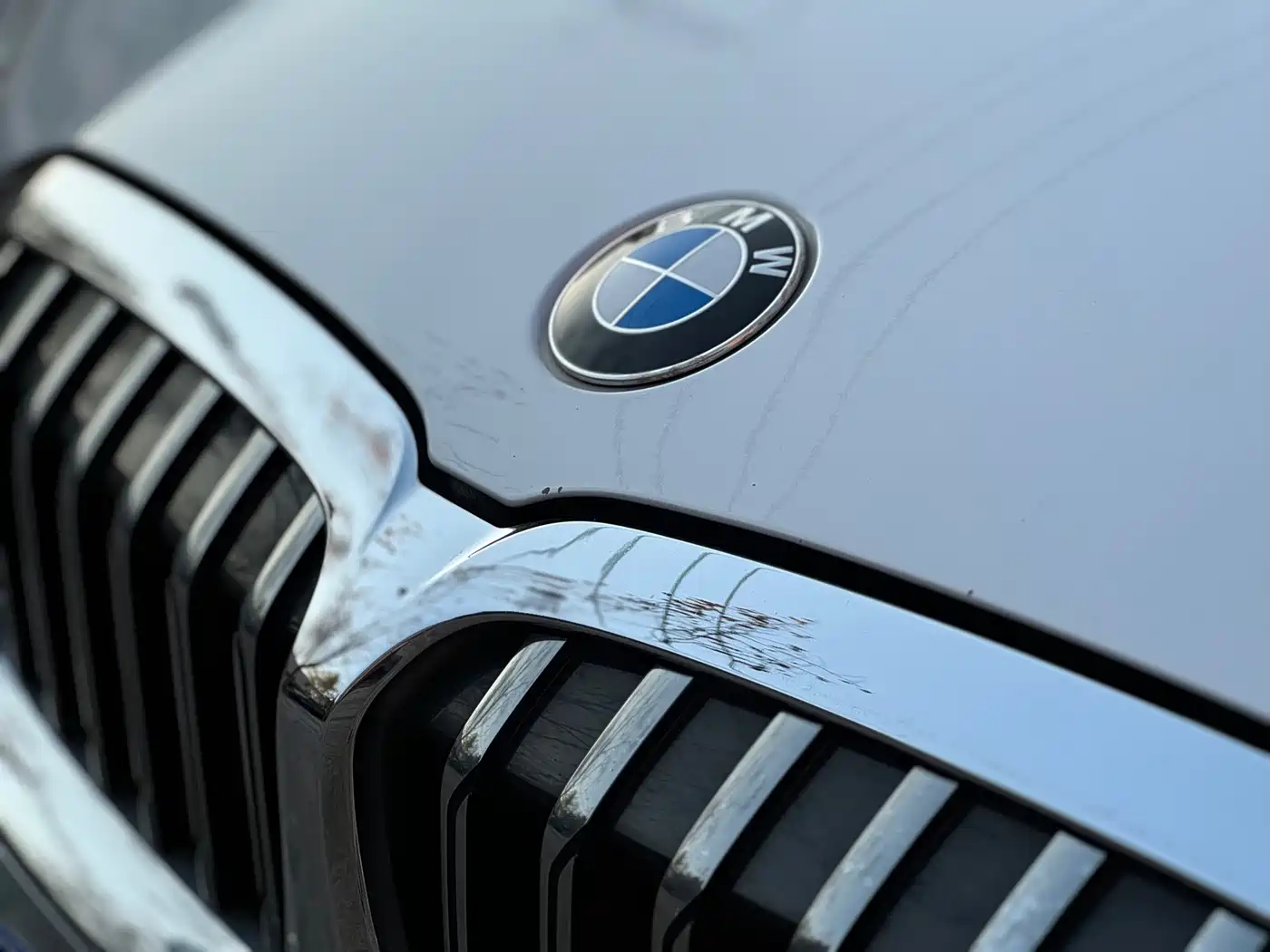 BMW 3 Series 2020 325Li Launch Edition фото 19