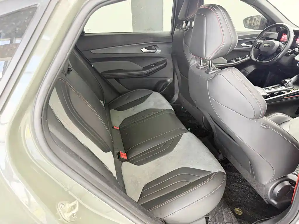 Фото 6 - Geely Binrui