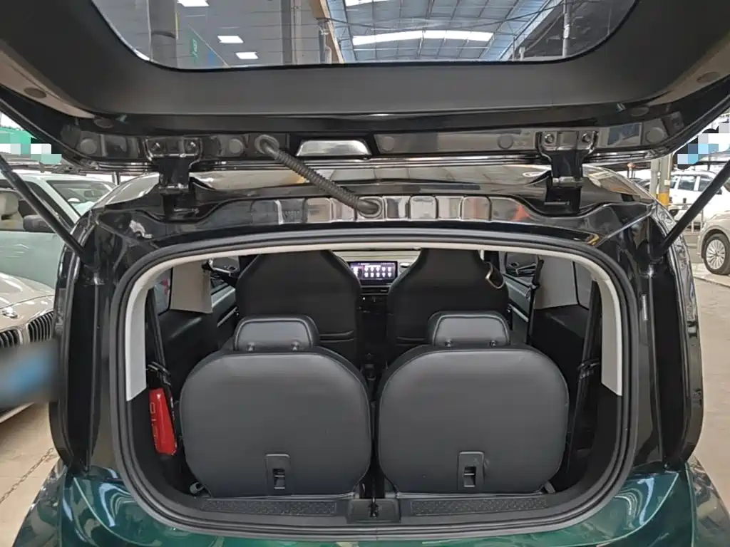 Baojun KiWi EV 2024 2023 DJI Edition LFP