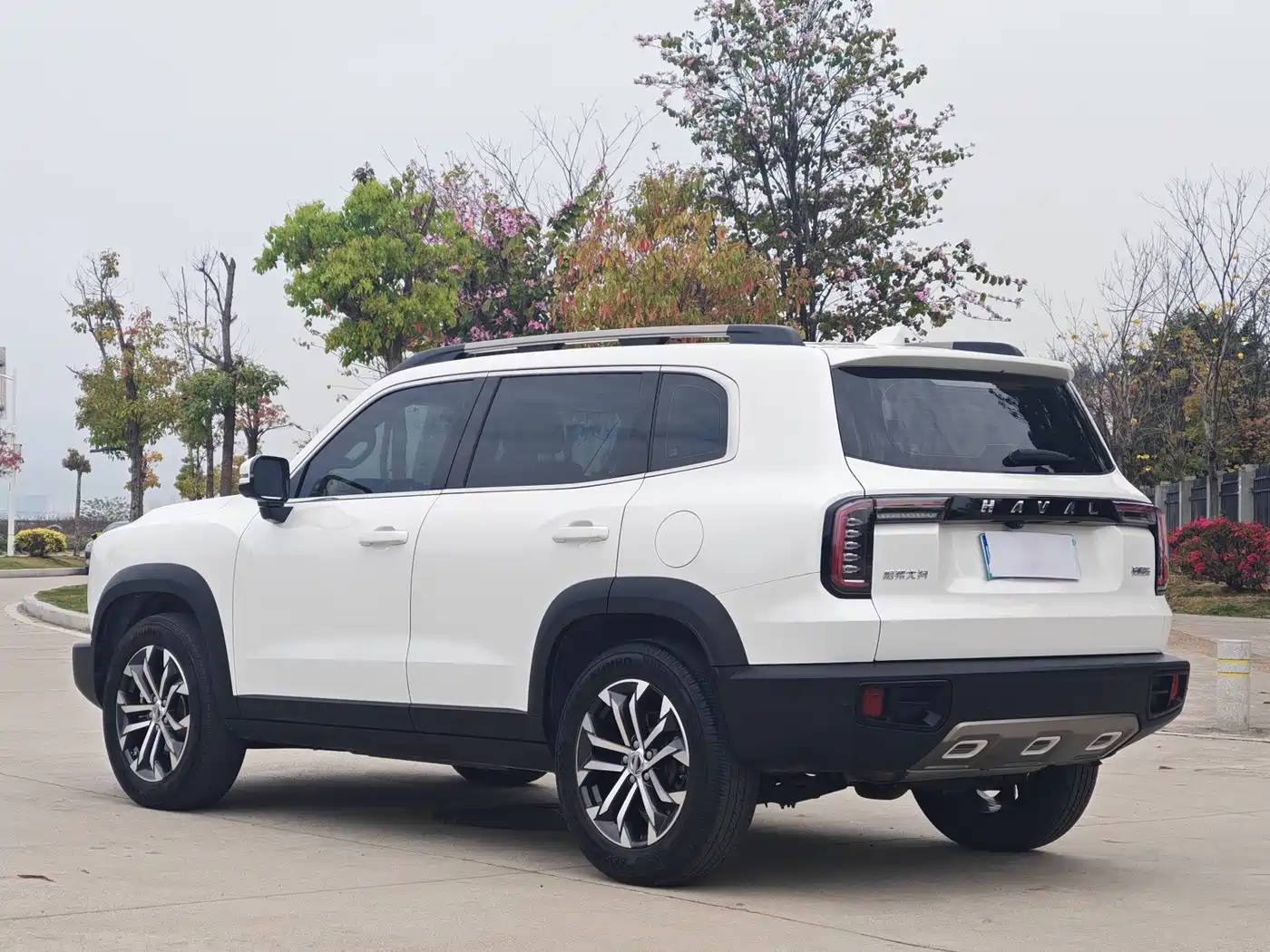 HAVAL BIG DOG