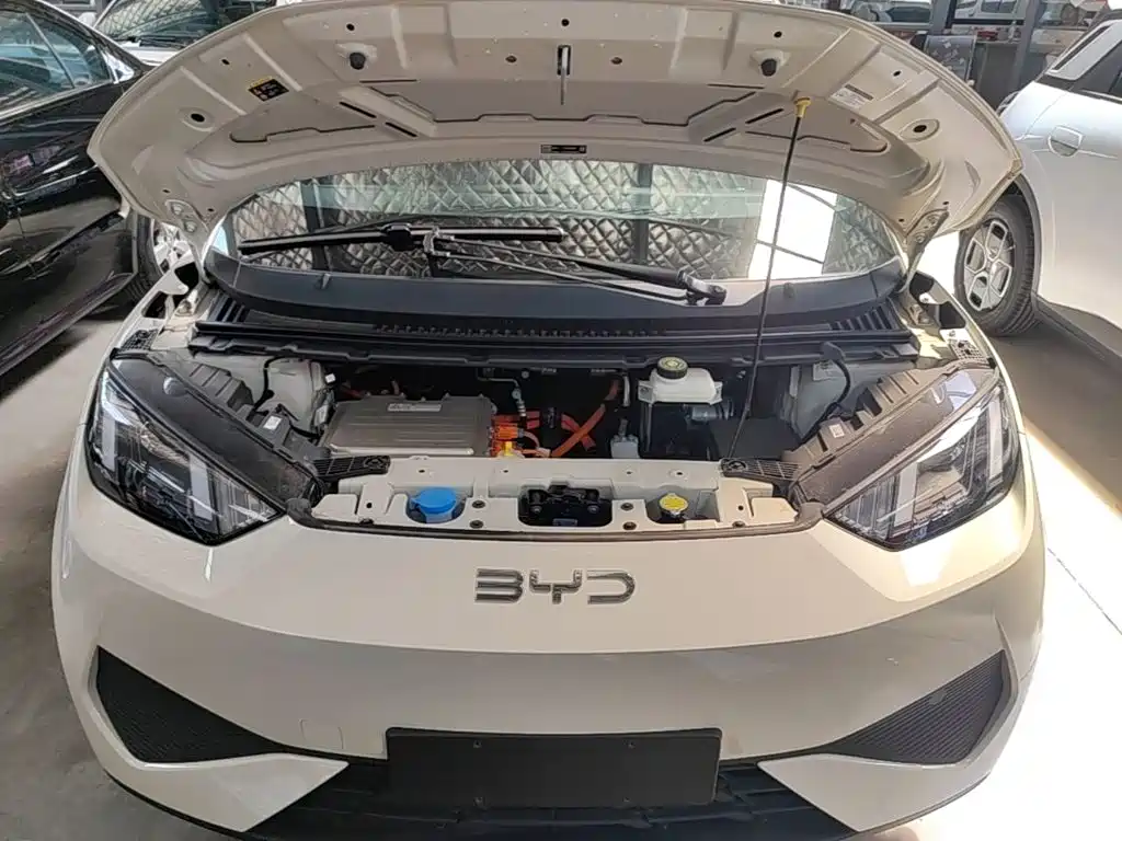 BYD Seagull 2026 2025 Smart Drive Edition 305km Vitality Version