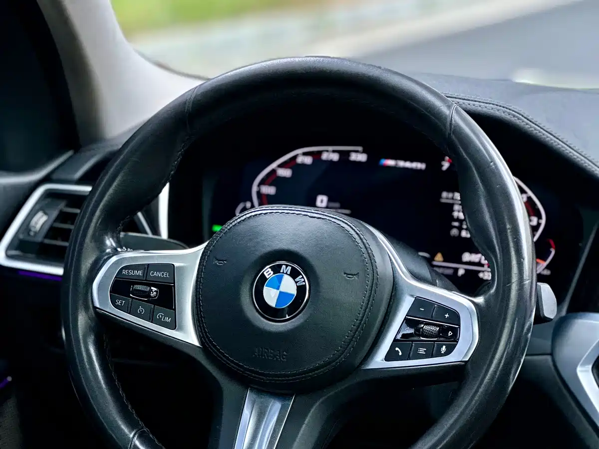 BMW 3 Series 2020 325Li M Sport Package фото 16