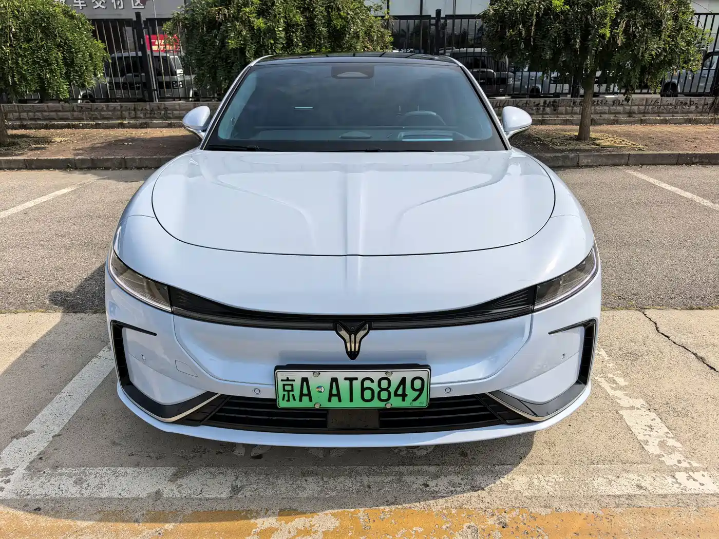Voyah Passion 2024 2023 AWD Long Range
