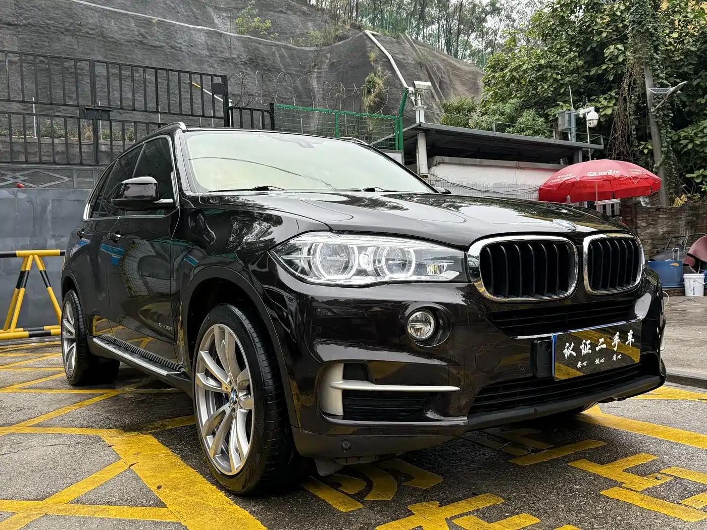 BMW X5 (Import) 2018 xDrive35i Elegant Model фото 2