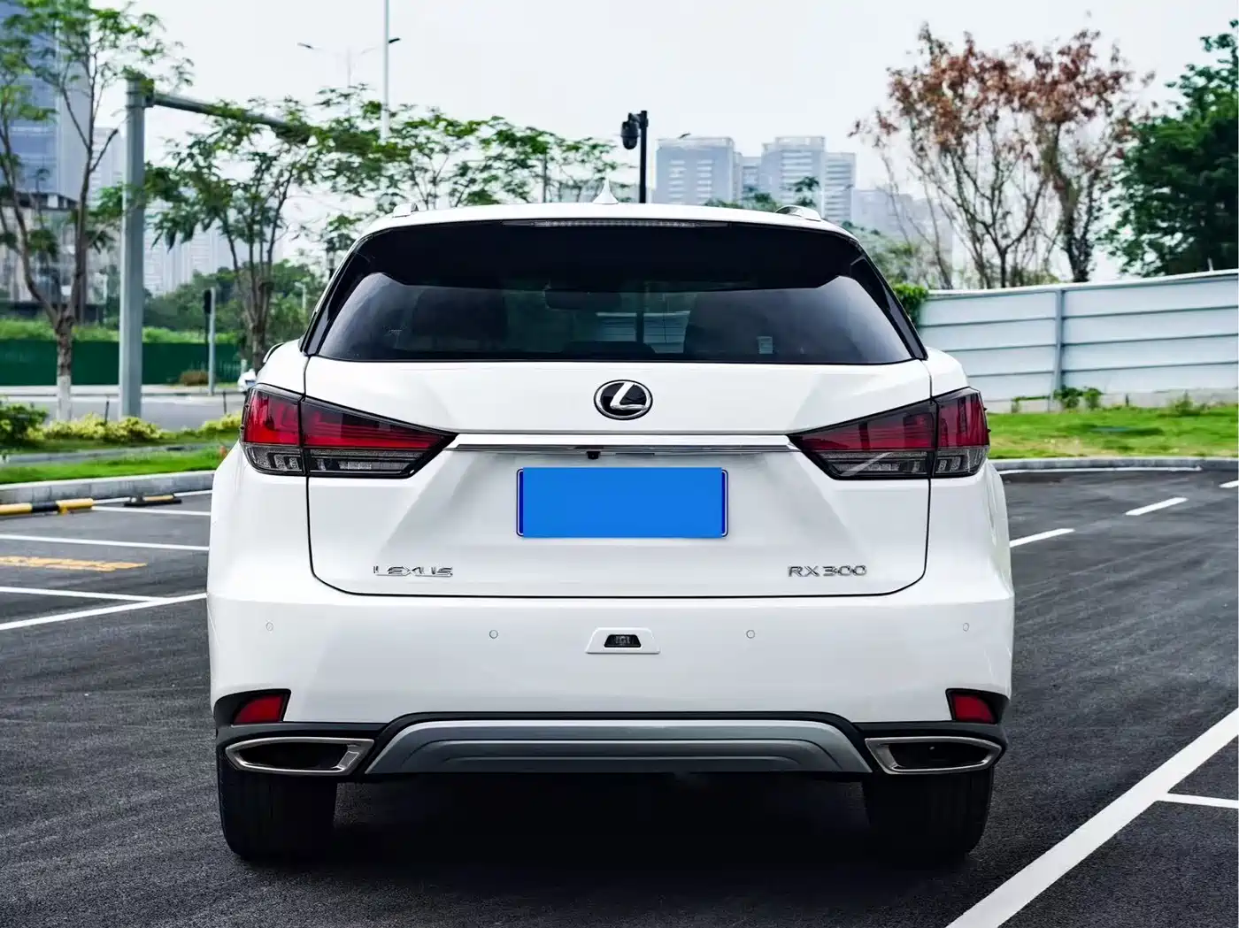 Lexus RX 2020 300 4WD Elegance Edition China VI фото 3