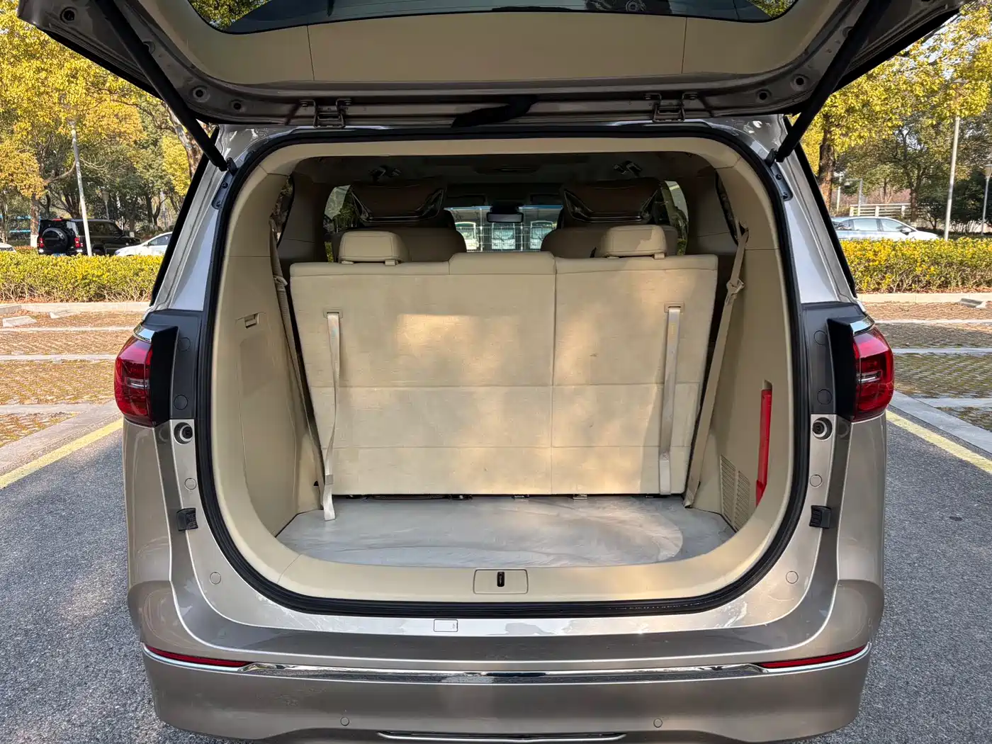 Buick GL8 2023 ES Landmaster Exclusive фото 27