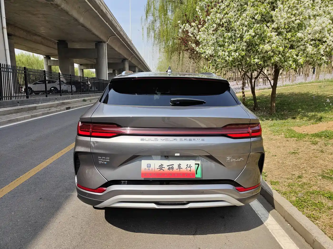 BYD SONGJIANG NEW ENERGY