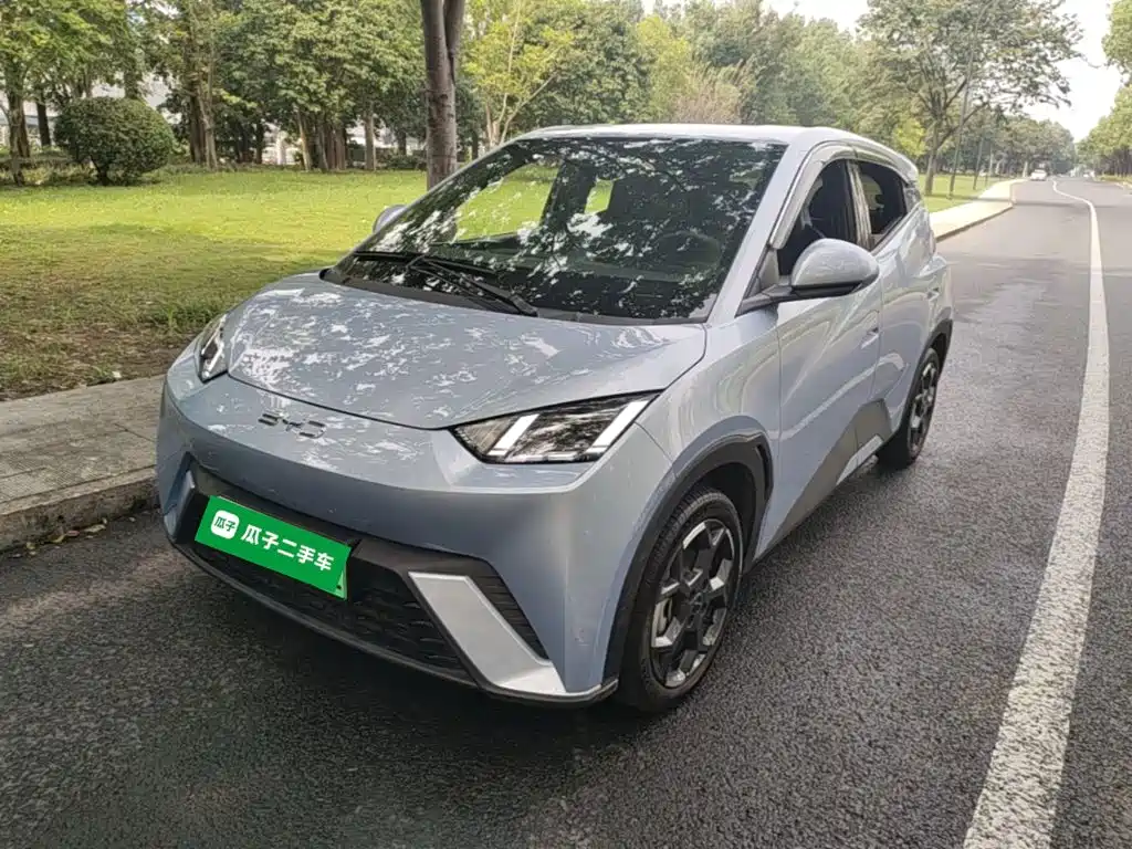 BYD Seagull 2024 Glory Edition 305km Freedom Edition