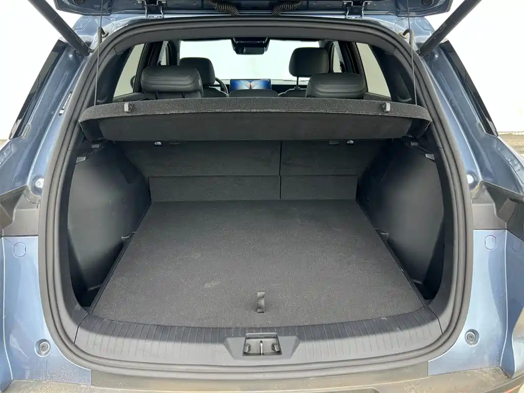 BYD SONGJIANG NEW ENERGY