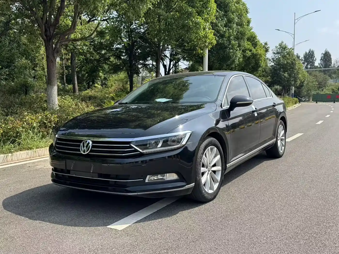 Volkswagen Magotan 2019 330TSI DSG Leading China VI
