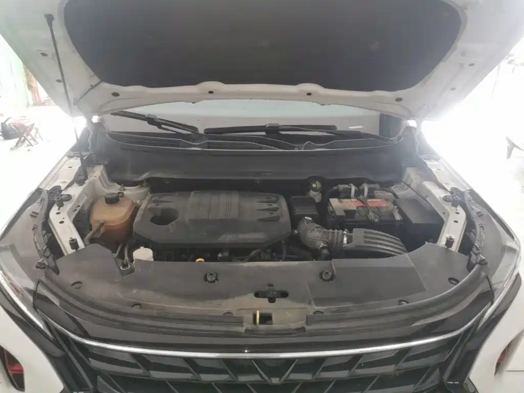 Dongfeng Fengguang Fengguang 580 2021 2022 1.5T Auto Quiet Enjoyment Model