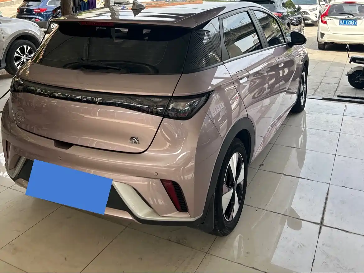 BYD Dolphin 2023 420km Fashion Edition фото 12