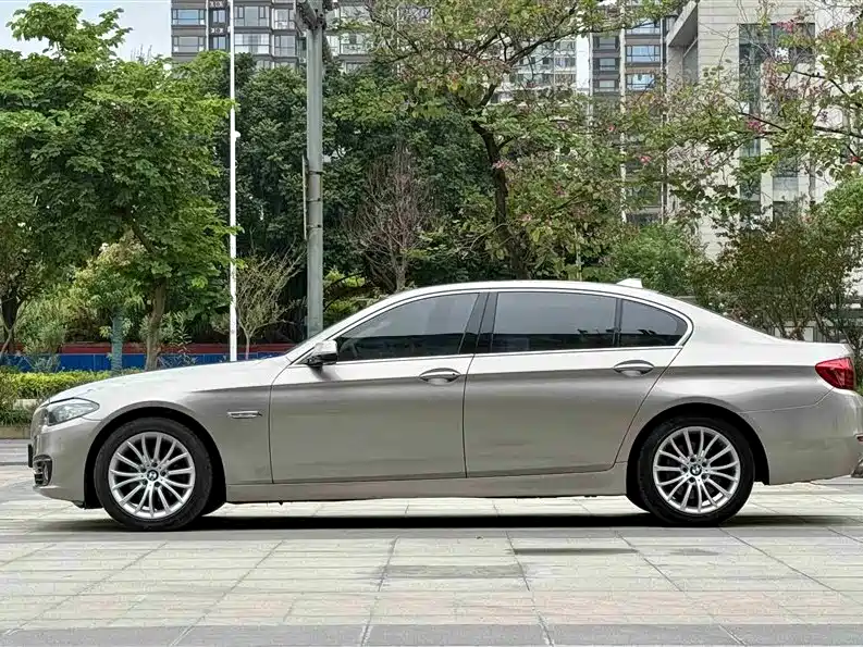 BMW 5 Series 2014 525Li Luxury Design Package фото 5
