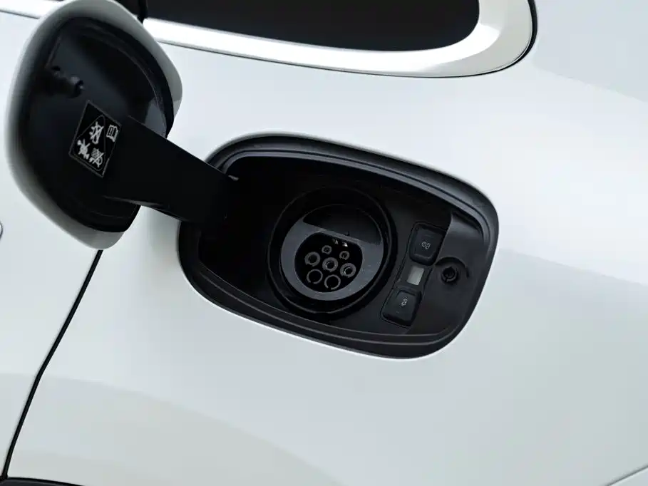 Porsche Cayenne New Energy 2019 2019 Cayenne E-Hybrid 2.0T