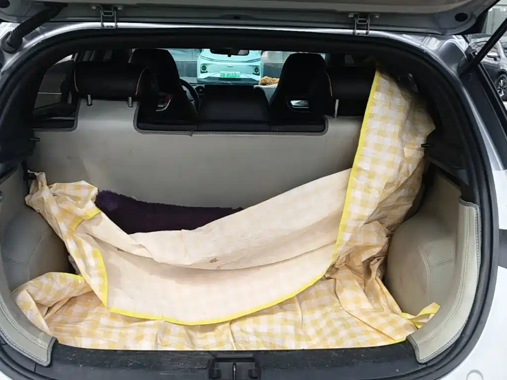 BYD Dolphin 2022 2021 Model 405km Fashion Edition