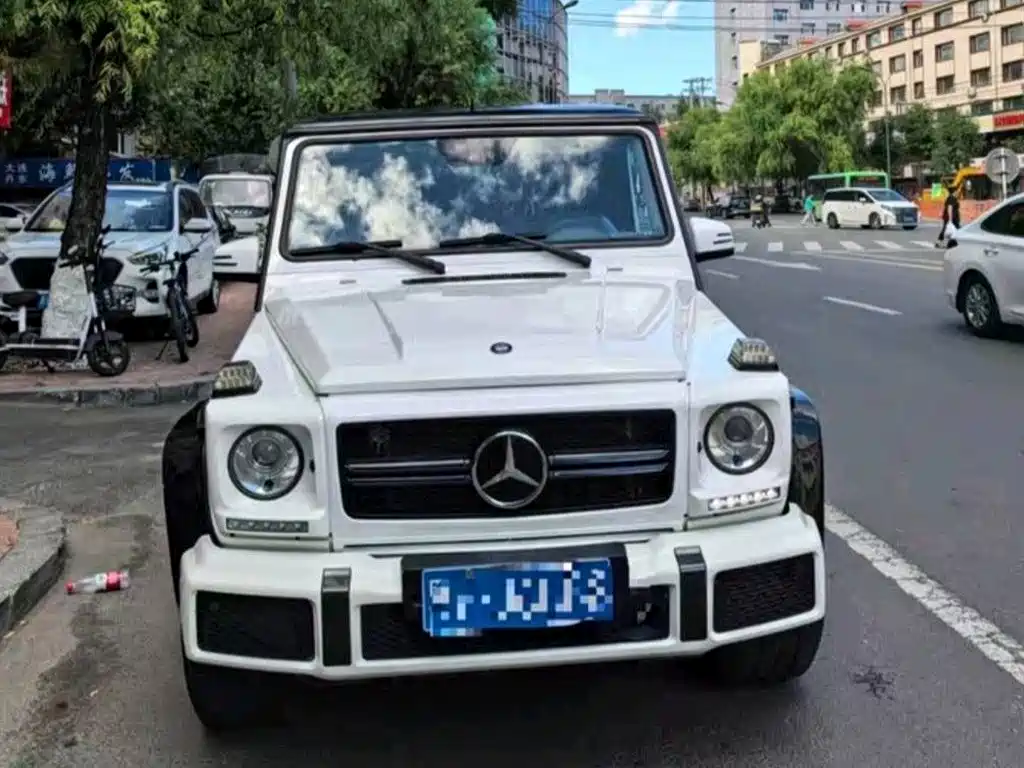 Mercedes-Benz G-Class 2016 G 500 фото 2