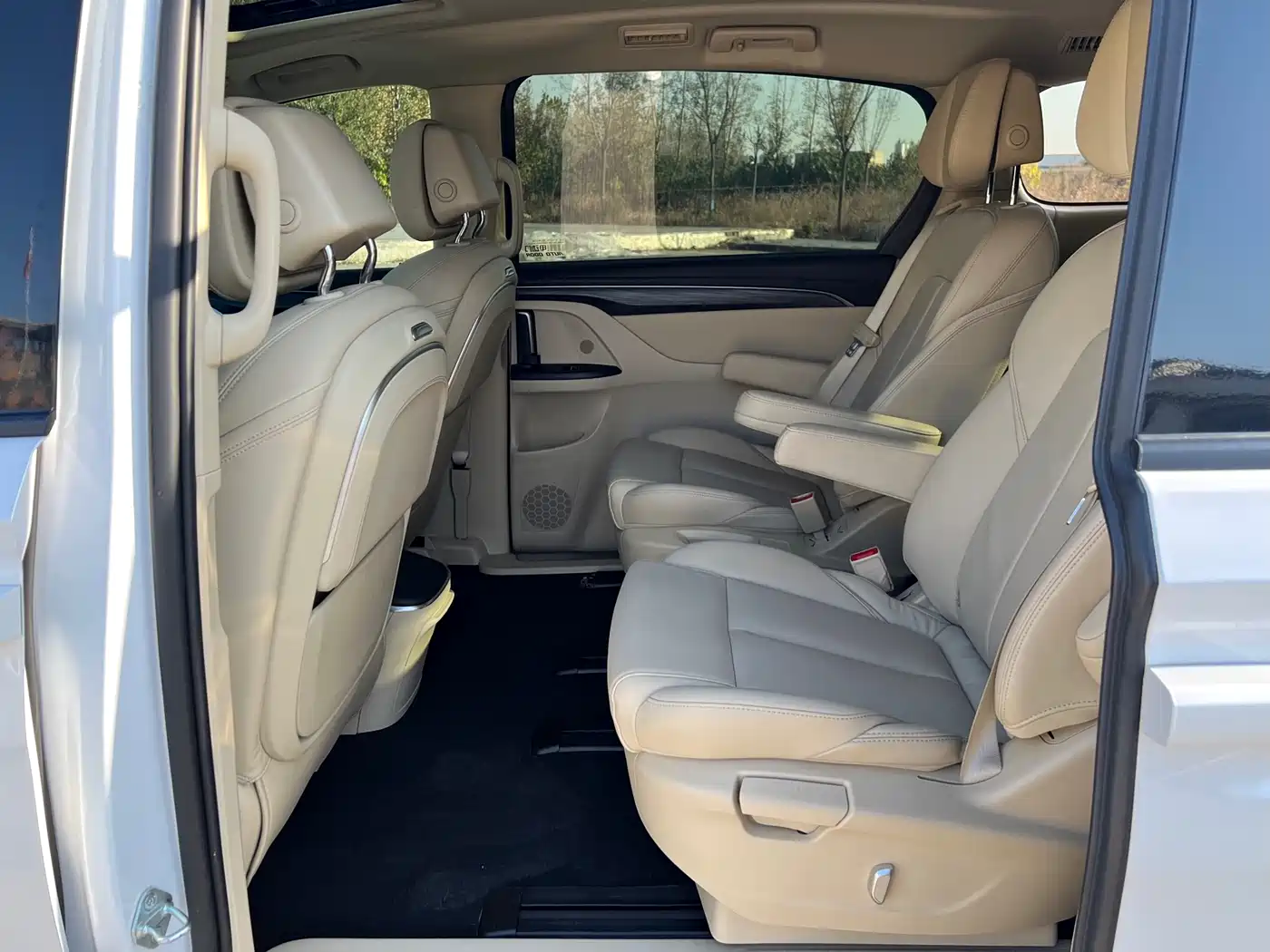 Buick GL8 2023 ES Landmaster Exclusive фото 8