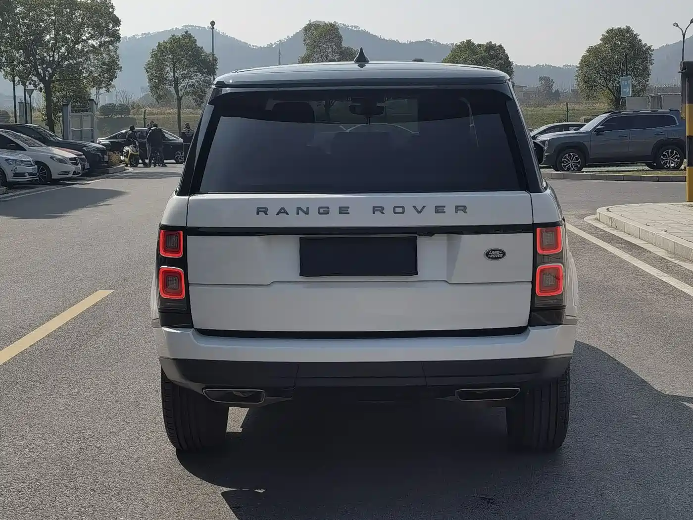 Land Rover Range Rover 2022 3.0 L6 360PS Golden Age Edition фото 4
