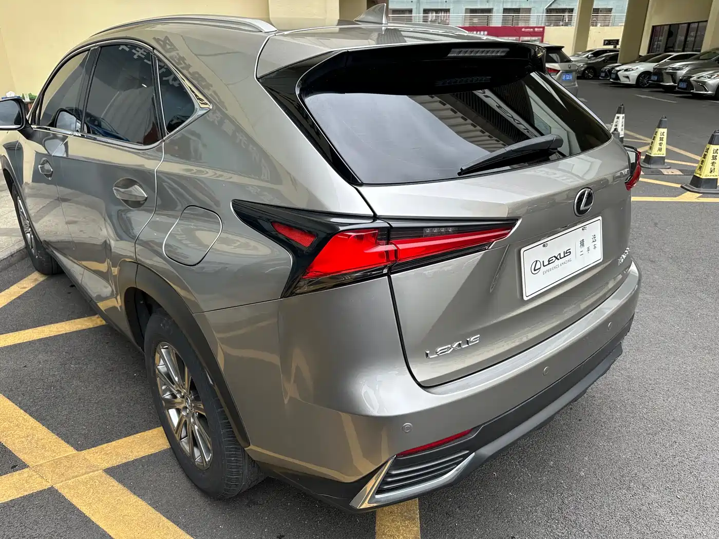 Lexus NX 2018 Model 200 AWD Fengshang Edition China V фото 24