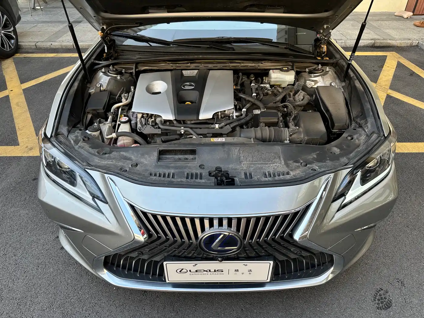 Lexus ES 2020 Model 300h Excellence Edition China V фото 4
