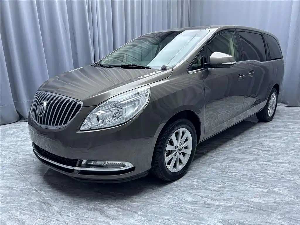 Buick GL8 2011 2.4L CT Luxury Business Comfort Edition фото 3