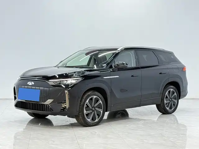  Chery Fengyun Fengyun T10 2024 210 Luxury Edition