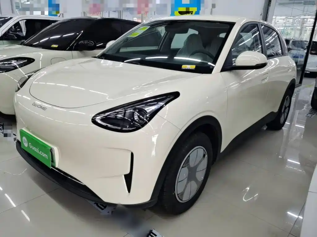 Geely Galaxy Starry Wish 2026 Edition 310km Youth Version
