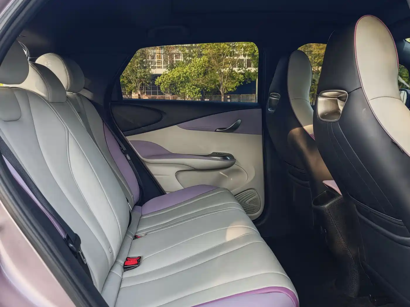 BYD Dolphin 2021 Model 405km Fashion Edition фото 9
