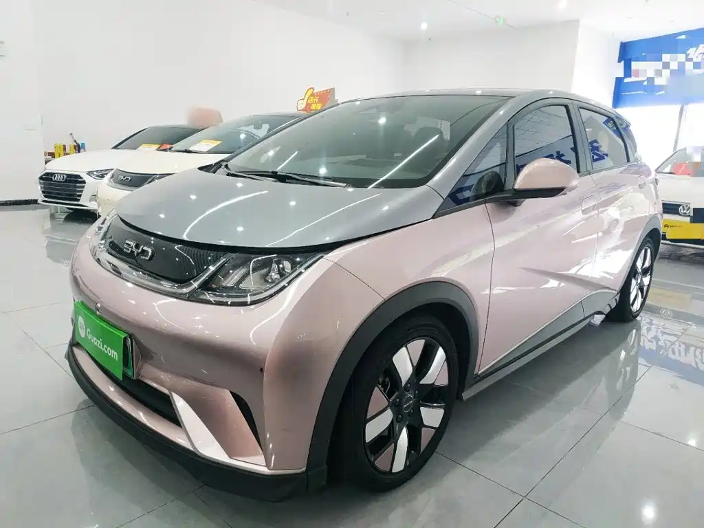BYD Dolphin 2021 401km Knight Edition