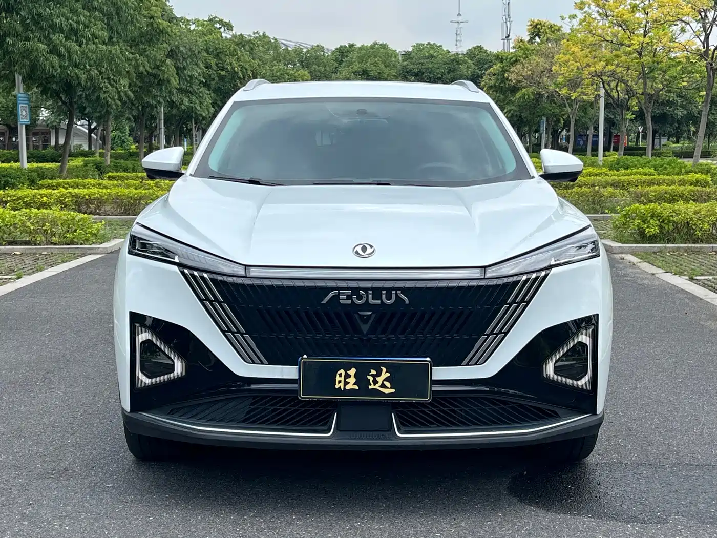 Dongfeng Aeolus Haohan 2024 2024 Glory Edition DH-i 1.5T Luxury