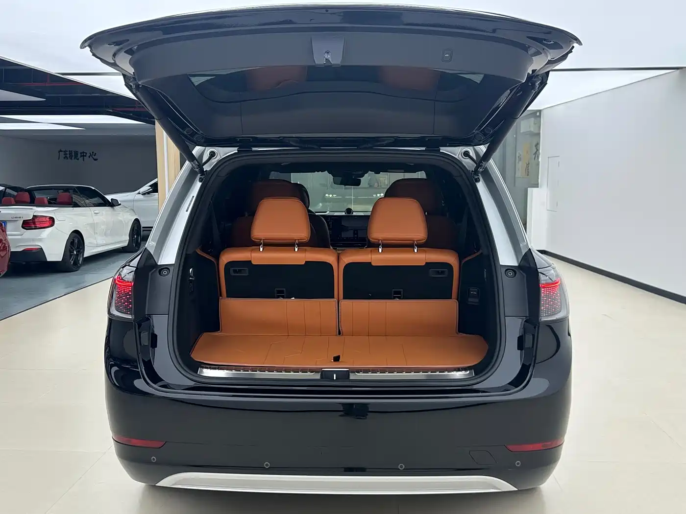 AITO Wenjie AITO M9 2024 Range Extender Max Edition 42kWh 6-seater фото 28