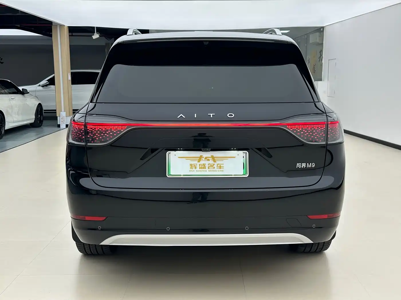 AITO Wenjie AITO M9 2024 Range Extender Max Edition 42kWh 6-seater фото 9