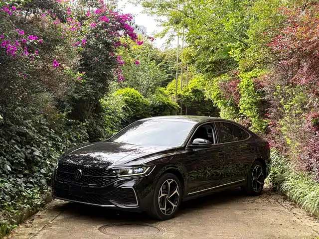 Volkswagen Passat 330TSI, Звёздный Элит