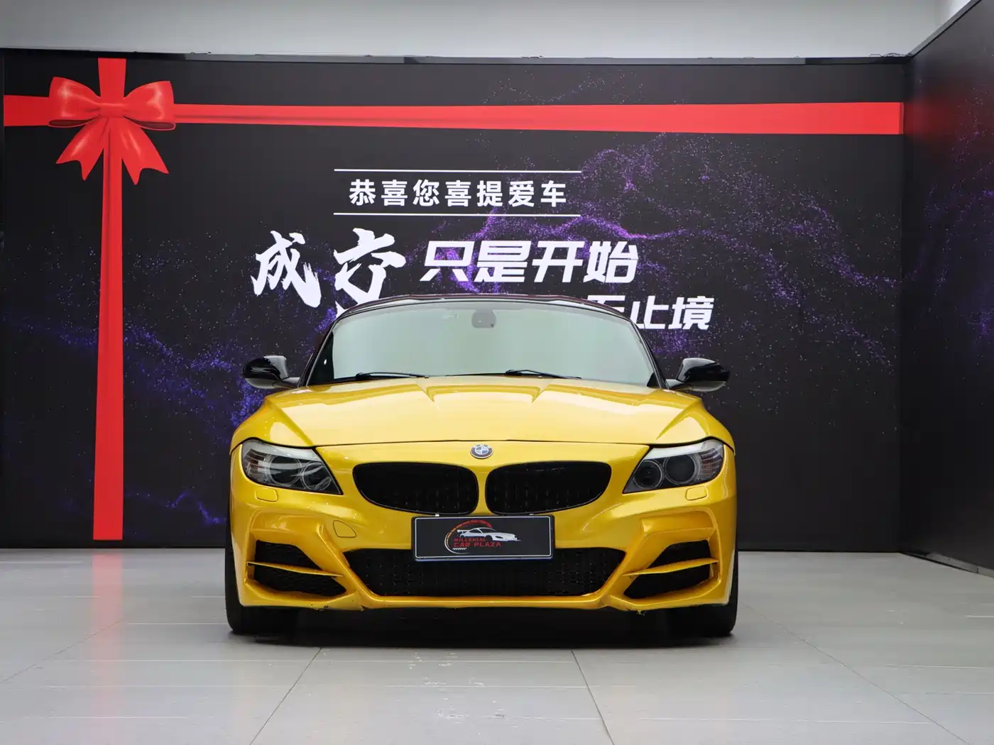 BMW Z4 2014 2013 sDrive20i Leading