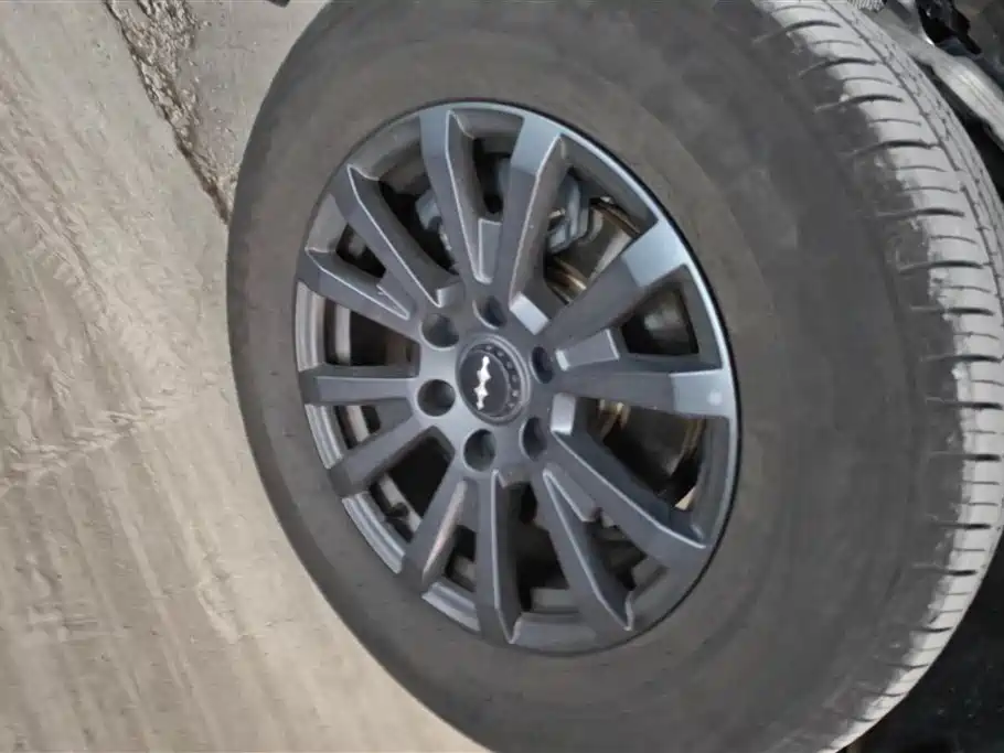 FANG CHENG BAO LEOPARD 5