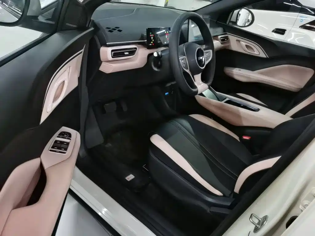 BYD Seagull 2026 2025 Smart Drive Edition 305km Vitality Version