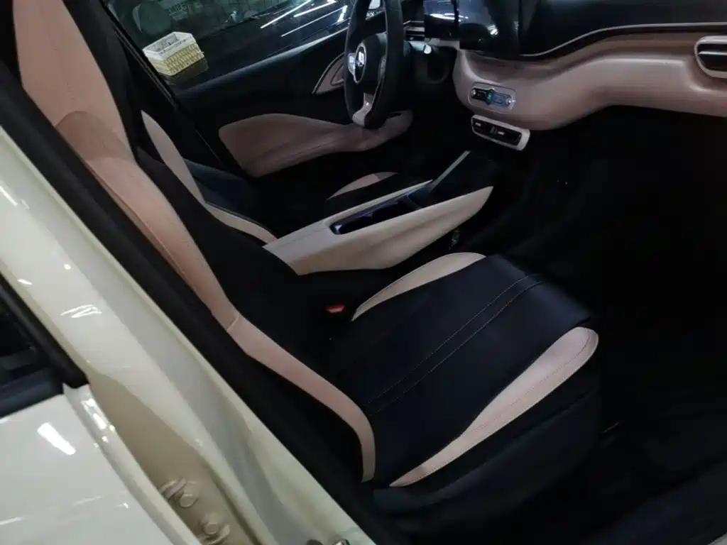 BYD Seagull 2026 2025 Smart Drive Edition 305km Vitality Version