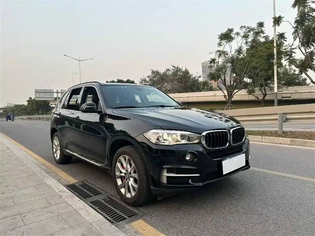BMW X5 (Import) 2017 xDrive35i Elegance фото 3