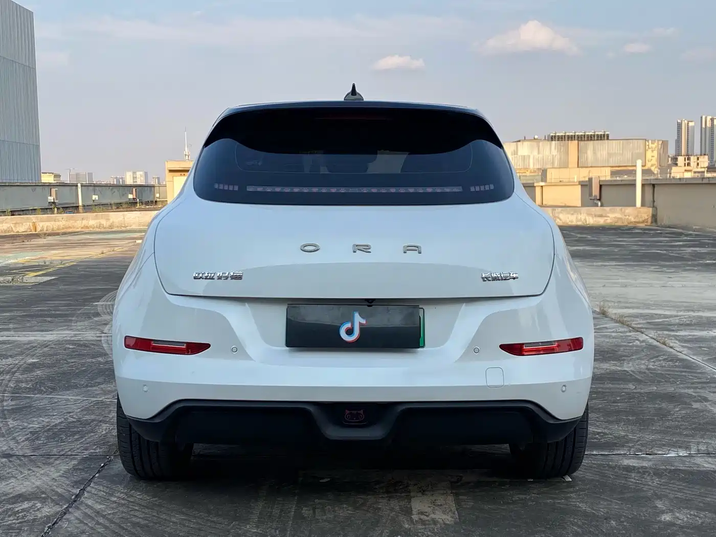 Ora Good Cat 2025 2024 401km Anniversary Edition
