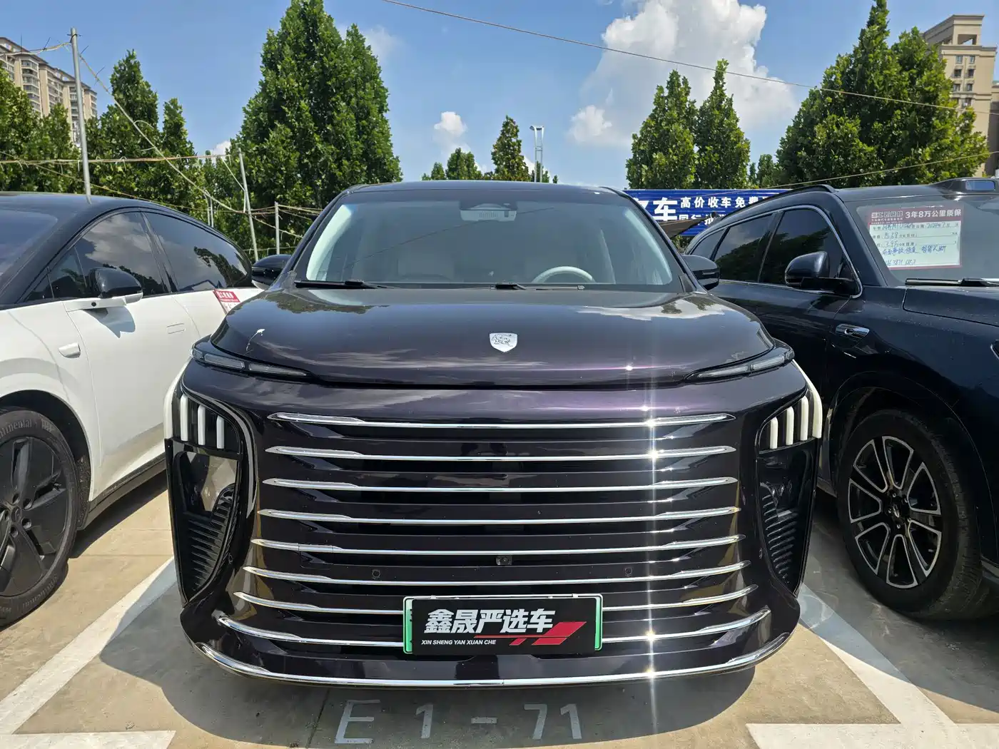 Dongfeng Fengxing Starlight V9 2024 2024 1.5TD 200km Cloud Ladder Series Premium